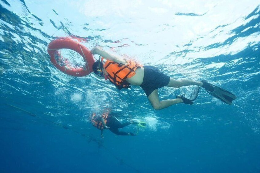 A person underwater with a life jacket and fins, another person in the background, and a red ring on the water. 3