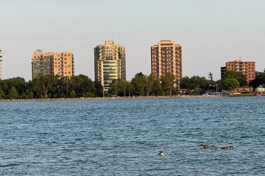 A waterfront with buildings and ducks swimming in the water. 5