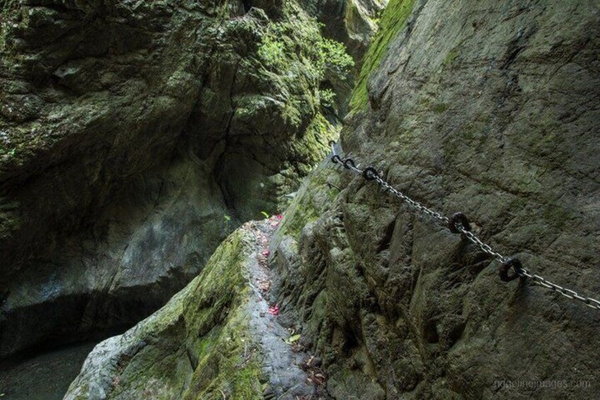 Hinohara and Okutama Nature Escape Tour 3