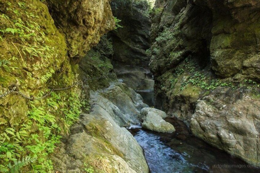 Hinohara and Okutama Nature Escape Tour 2