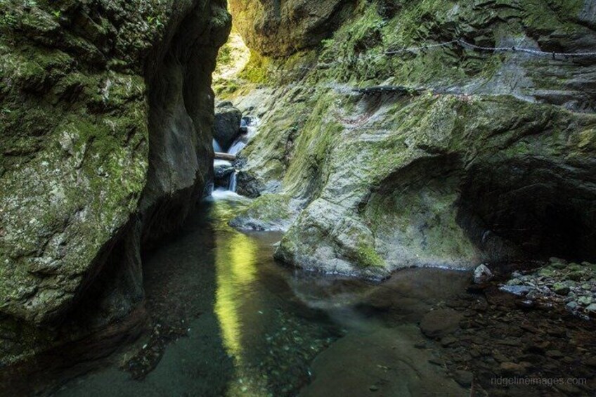 Hinohara and Okutama Nature Escape Tour 4