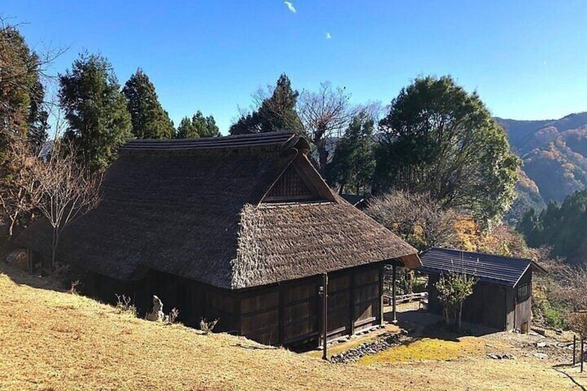 Hinohara and Okutama Nature Escape Tour 1