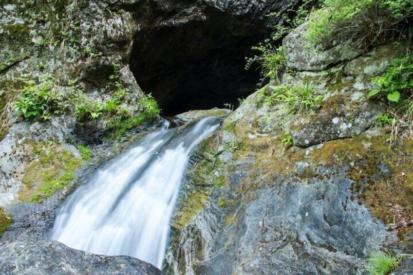 Hinohara and Okutama Nature Escape Tour 5