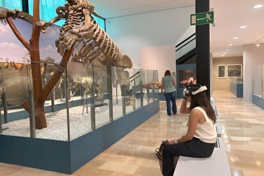 Valencia Science Museum Ticket and Audio Guide 5