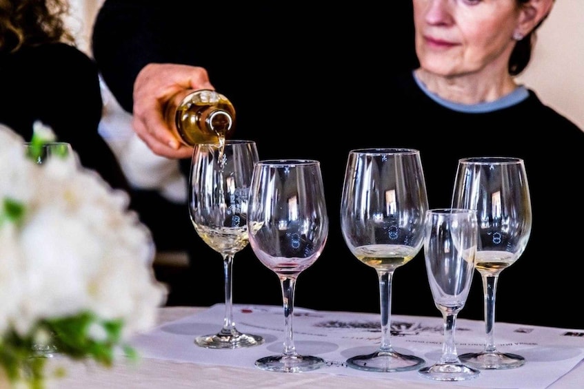 Avellino: Winery Tour & Wine Tasting at Tenuta Cavalier Pepe 1