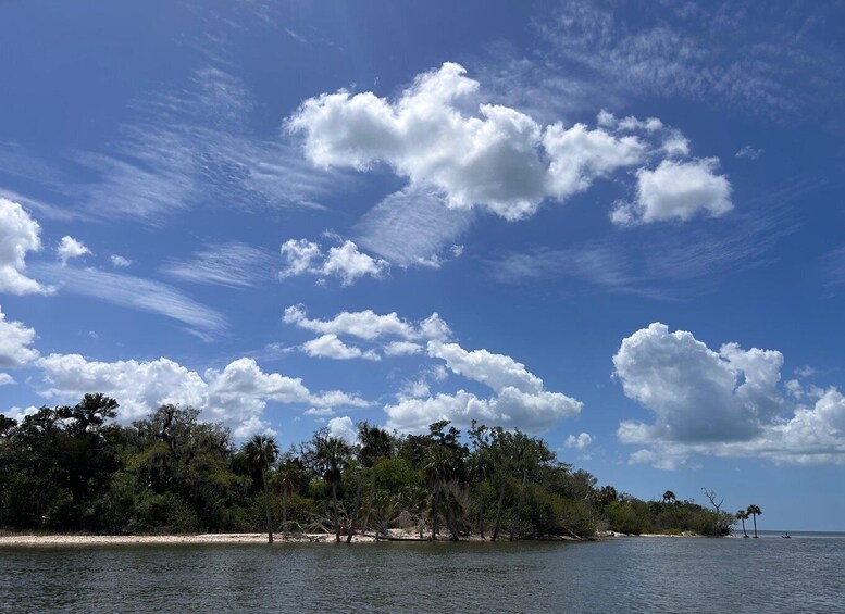 Picture 2 for Activity Crystal River Sandbar Escape and Island Adventure 5