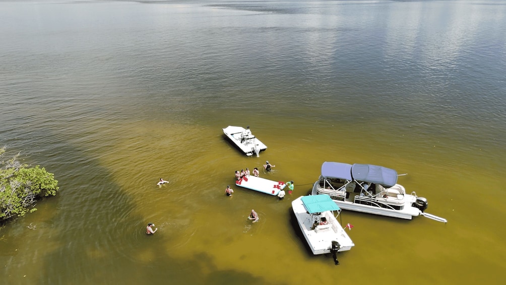 Picture 12 for Activity Crystal River Sandbar Escape and Island Adventure 4