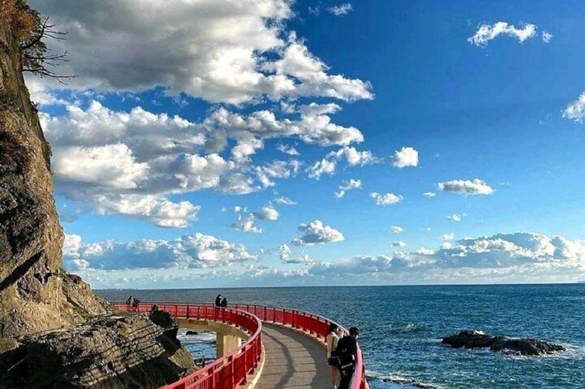 Private Day Tour Kamakura, Shonan Coast and Enoshima from Tokyo 4