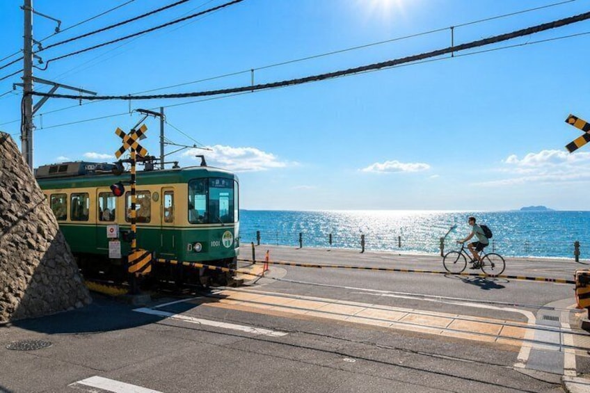 Private Day Tour Kamakura, Shonan Coast and Enoshima from Tokyo 1