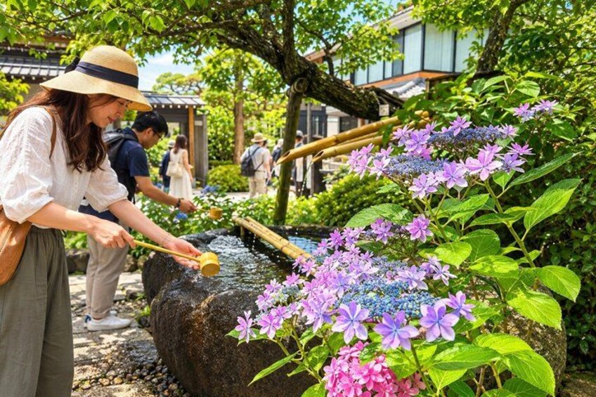 A person using a traditional water pump in a garden with flowering plants and a building in the background. 2