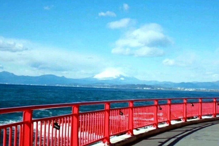 Private Day Tour Kamakura, Shonan Coast and Enoshima from Tokyo 2