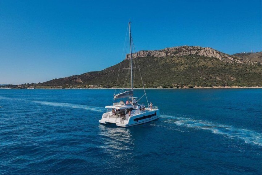 Tavolara and Molara by catamaran with dolphin sighting 1