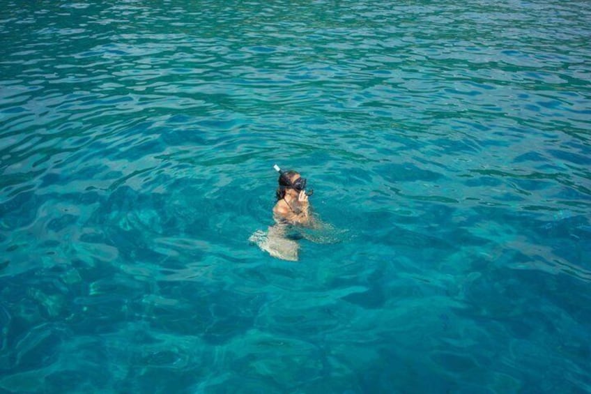 Tavolara and Molara by catamaran with dolphin sighting 3