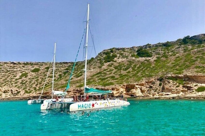 Catamaran tour 5 hours: from Palma de Mallorca 1