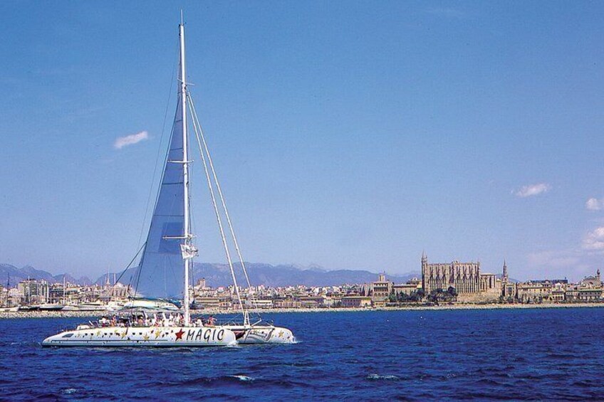 Catamaran tour 5 hours: from Palma de Mallorca 4