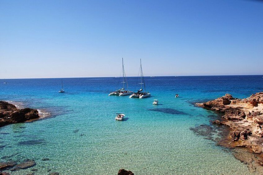 Catamaran tour 5 hours: from Palma de Mallorca 5