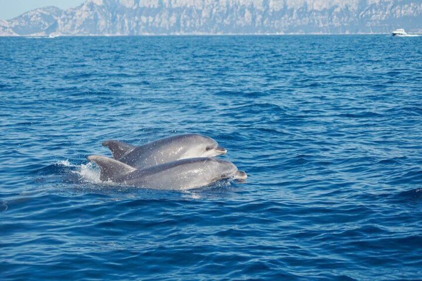 Prestigious Blue : Catamaran tour with lunch in southern Sardinia 3