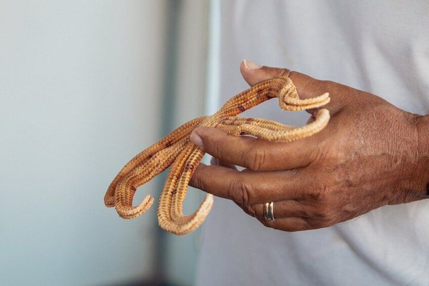 From Syracuse: boat trip to Marzamemi and visit of the village 5