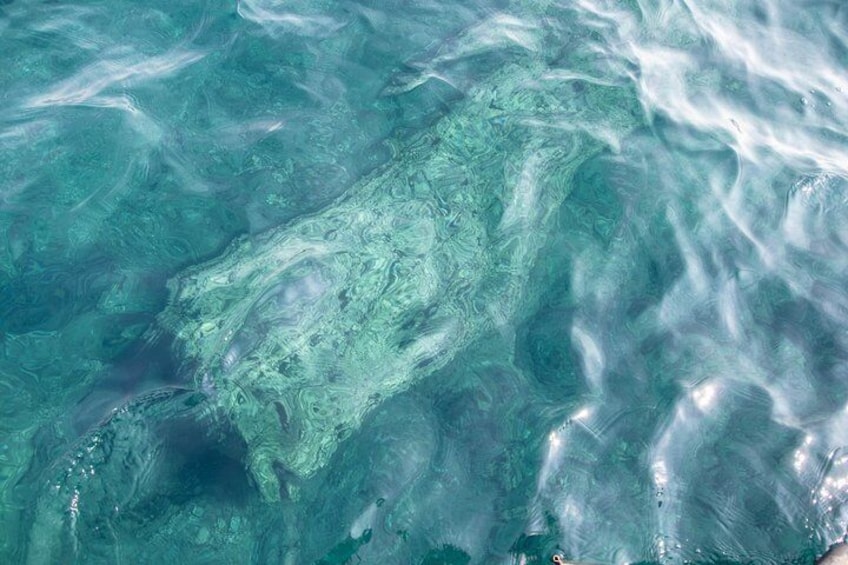 From Syracuse: boat trip to Marzamemi and visit of the village 2