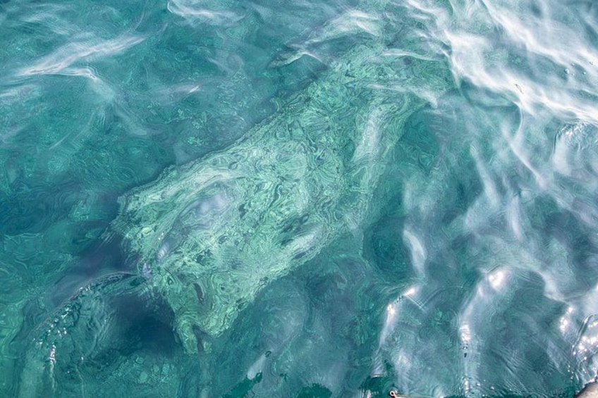 From Syracuse: boat trip to Marzamemi and visit of the village 2