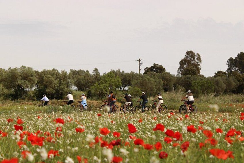 Private E-Bike Tour of Medieval Villages: Pals & Peratallada 4