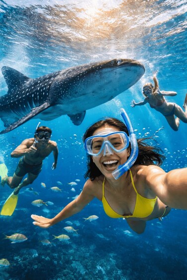 A person snorkeling with a whale shark and other fish in clear blue water. 3