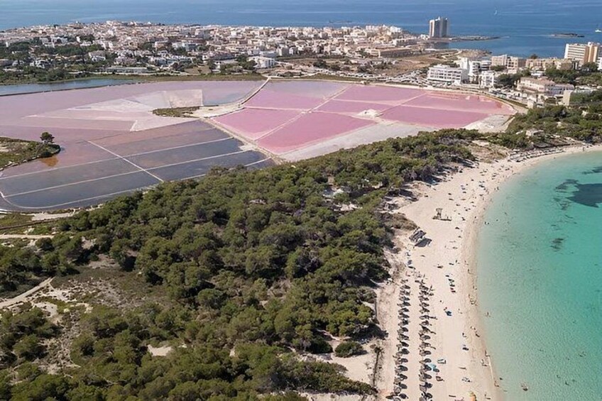 A coastal area with a beach, a forested area, and salt pans. 1