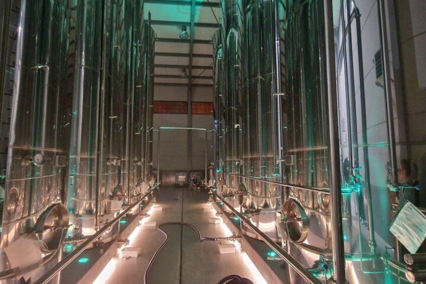 Private Tour Salinas de Es Trenc and Mesquidassa Olive Oil Salt 5