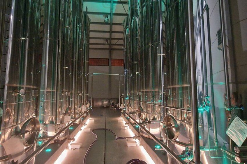 Private Tour Salinas de Es Trenc and Mesquidassa Olive Oil Salt 5