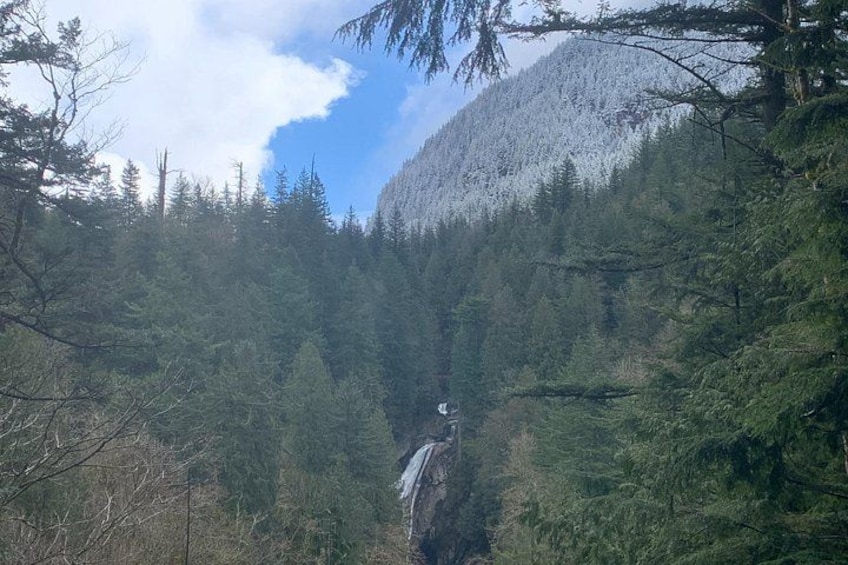 Guided forest hike to Seattle waterfalls incl. Snoqualmie Falls 2