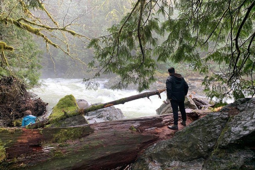 Guided forest hike to Seattle waterfalls incl. Snoqualmie Falls 2