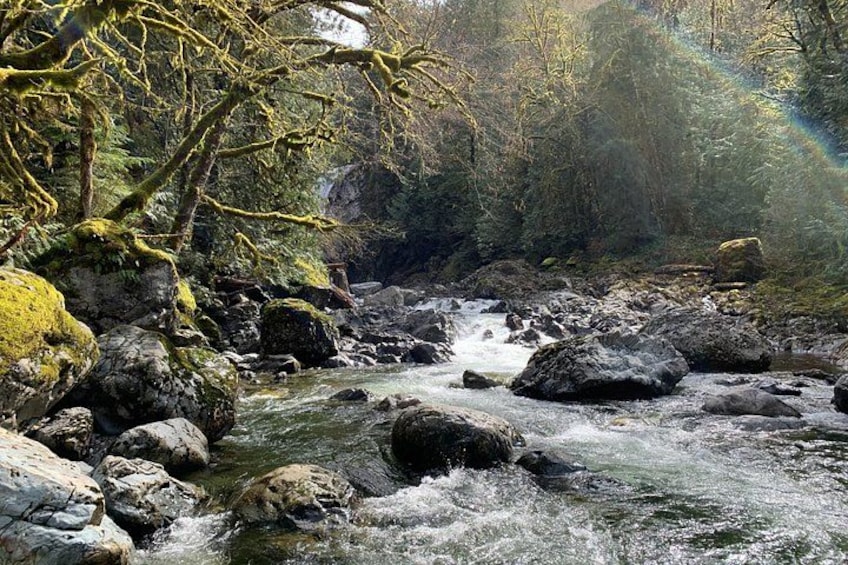 Guided forest hike to Seattle waterfalls incl. Snoqualmie Falls 2