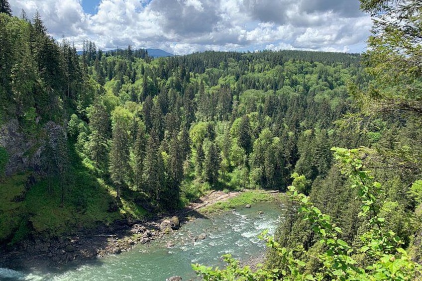 Guided forest hike to Seattle waterfalls incl. Snoqualmie Falls 2