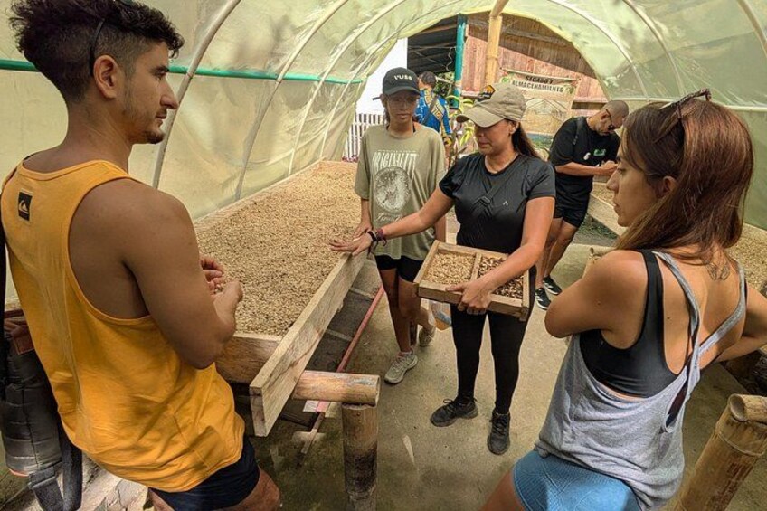 People in a greenhouse handling trays of seeds. 1