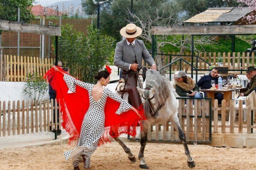 Authentic Dinner Experience Spanish Horses and Flamenco Fusion 2