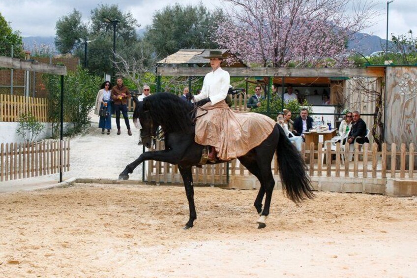 Authentic Dinner Experience Spanish Horses and Flamenco Fusion 3
