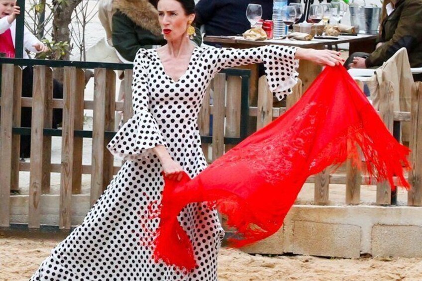 Authentic Dinner Experience Spanish Horses and Flamenco Fusion 5