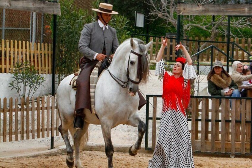 Authentic Dinner Experience Spanish Horses and Flamenco Fusion 1