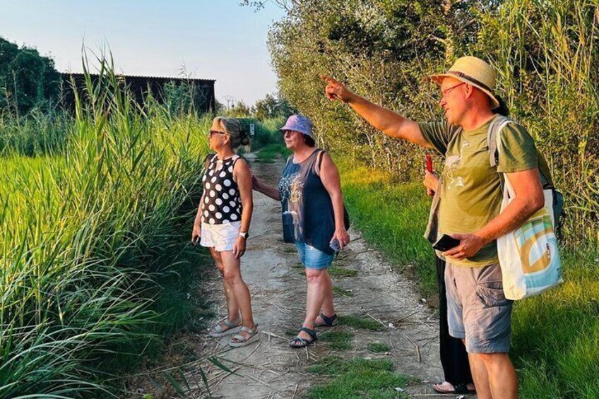 Rice and Flamenco Tour in the Ebro Delta 3
