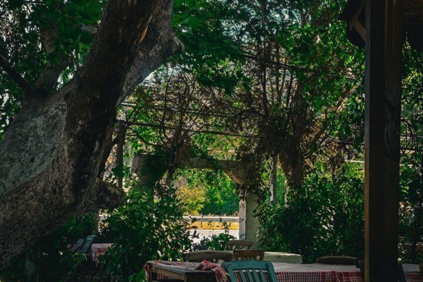 Handmade Pasta Masterclass: Naples Rooftop or Secret Garden 1