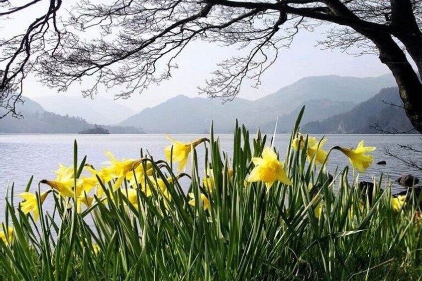 Ten Lakes Tour and Ullswater Cruise Experience 1