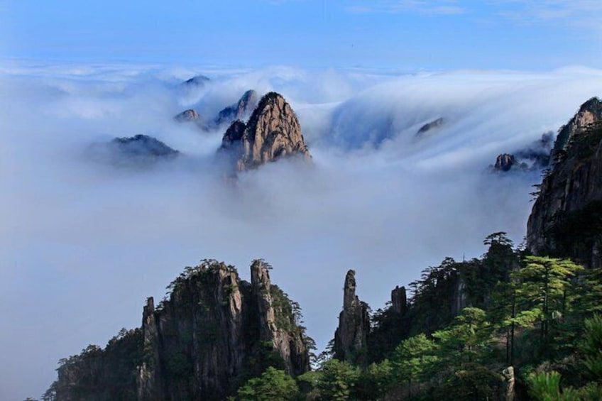 Huangshan Scenic Area South Gate Entry Ticket 5