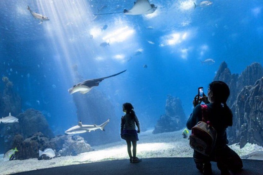 Entrance to Oceanary and cable car 5