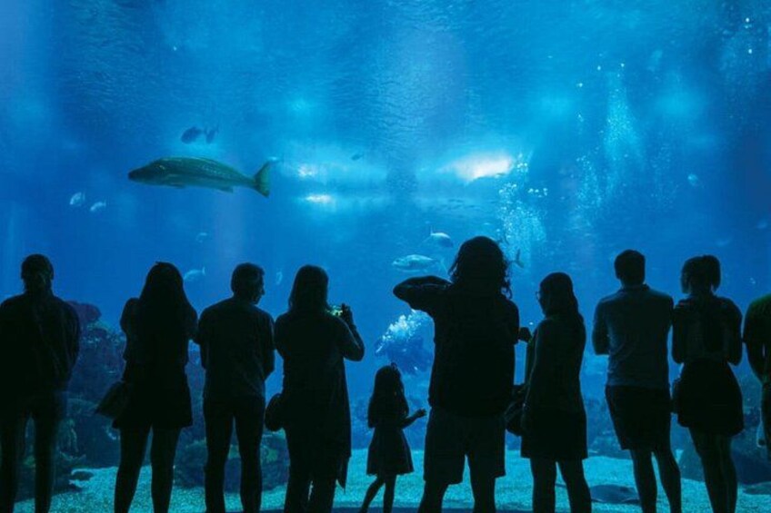 Entrance to Oceanary and cable car 3
