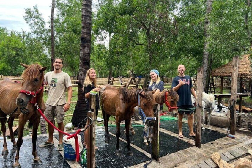 People with horses in a paddock with trees and a wooden structure in the background. 2