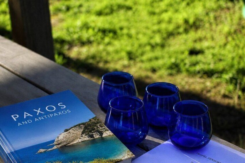 Olive Oil Tasting Under the Trees Paxos Island Greece 3