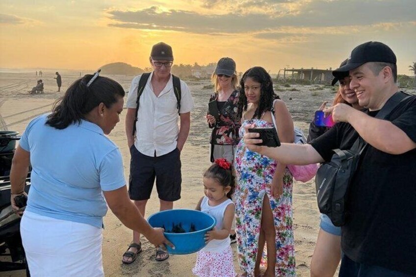 Release of Baby Turtles 4