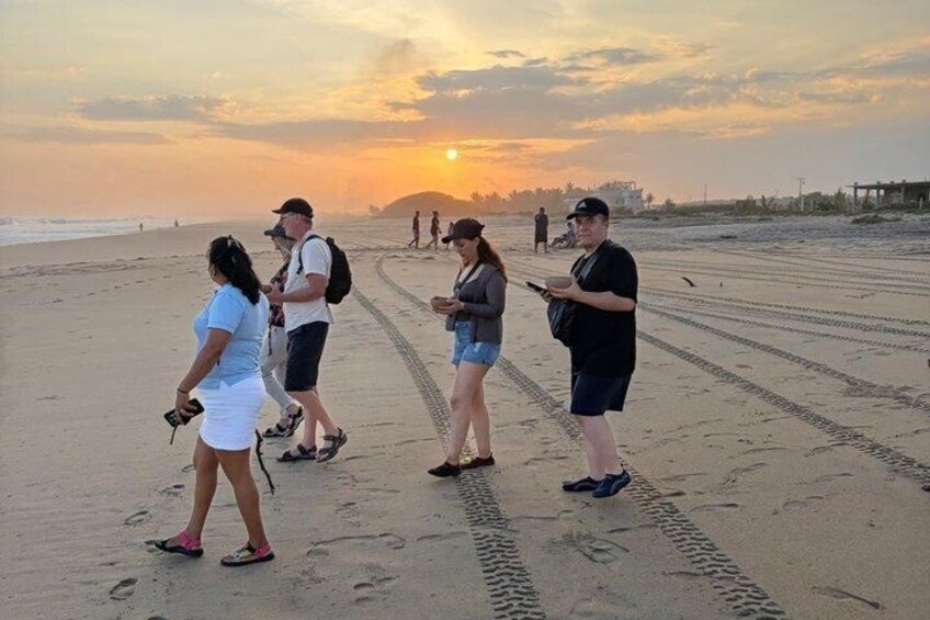Release of Baby Turtles 3