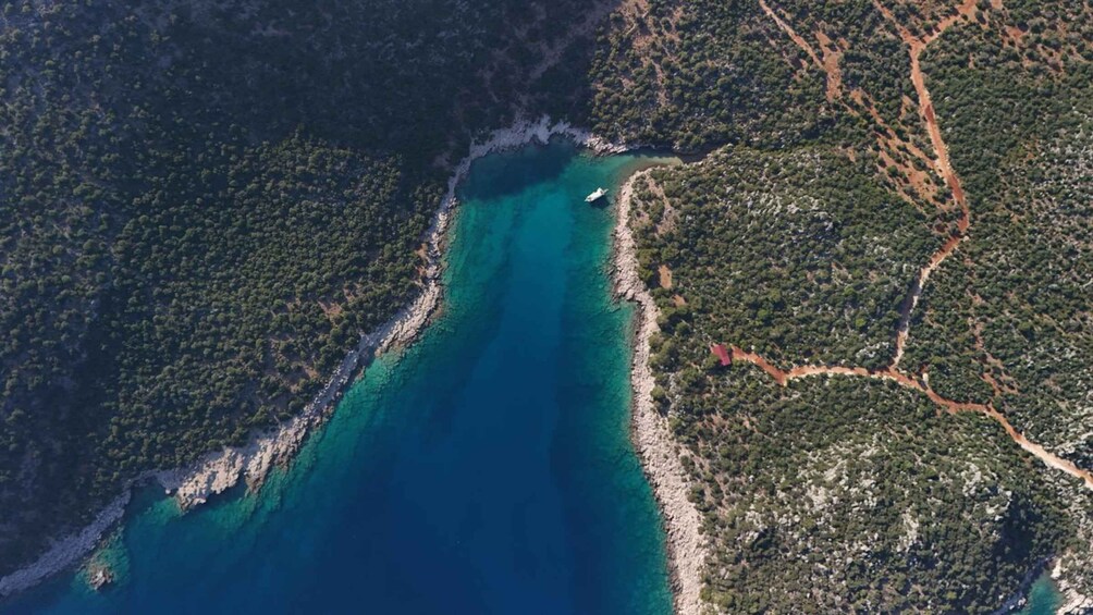 A coastal landscape with a clear turquoise sea, dense green forest, and a winding dirt road. 3