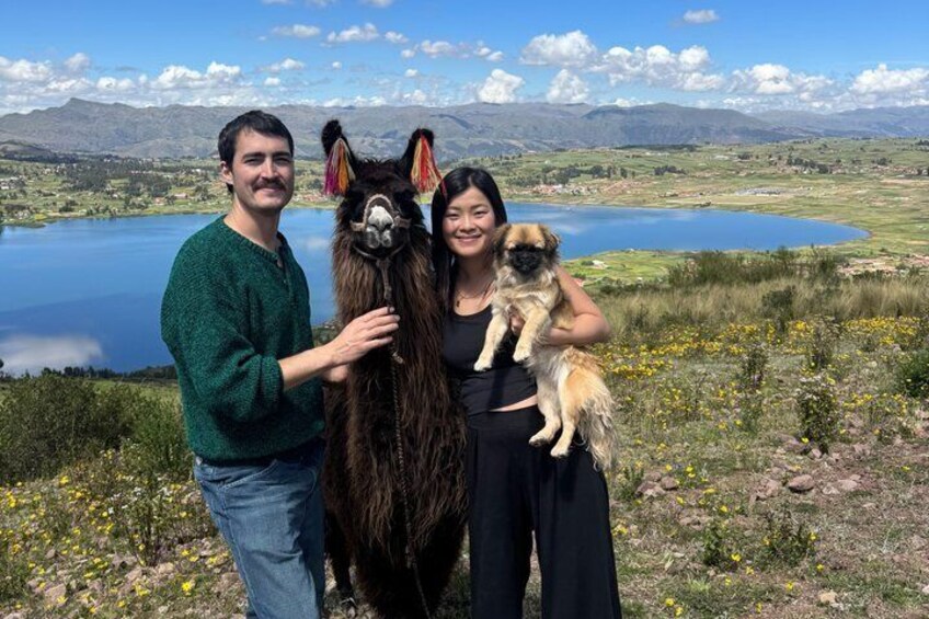 hike with Alpacas and Llamas cultural experience 1